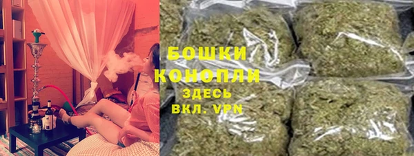винт Лагань