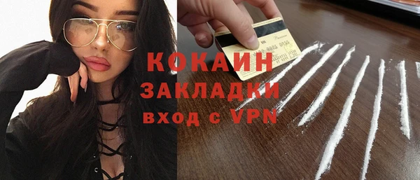 винт Лагань