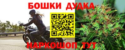 PSILOCYBIN Конаково