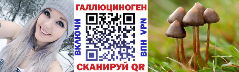 цена наркотик  Комсомольск-на-Амуре  kraken   Псилоцибиновые грибы GOLDEN TEACHER 