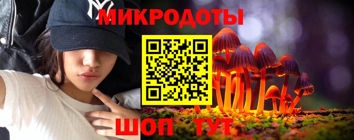Псилоцибиновые грибы GOLDEN TEACHER  как найти наркотики  Комсомольск-на-Амуре  Вход с VPN 